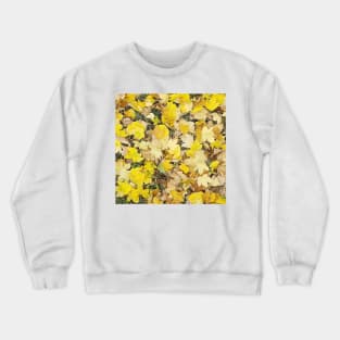 Yellow Maple Tree Leaves Crewneck Sweatshirt
